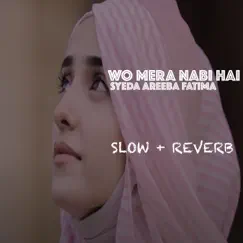 Wo Mera Nabi Hai - Single by Syeda Areeba Fatima album reviews, ratings, credits