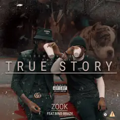 True Story (feat. Bino Brazy) - Single by Zook album reviews, ratings, credits