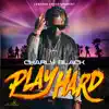 Play Hard - Single album lyrics, reviews, download