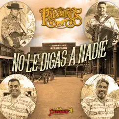 No Le Digas a Nadie - Single by Los Palominos album reviews, ratings, credits