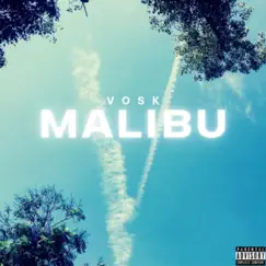 Malibu - Single by Vosk album reviews, ratings, credits
