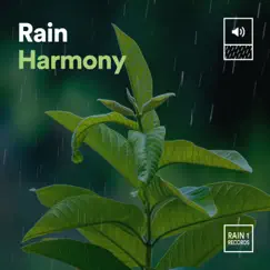 Rain Harmony by Yoga Rain, Rain for Deep Sleep & Rainfall album reviews, ratings, credits