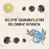 Slow Chameleon - Single album lyrics, reviews, download