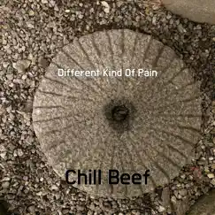 Different Kind of Pain - Single by Chill Beef album reviews, ratings, credits