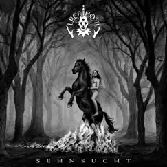 Sehnsucht by Lacrimosa album reviews, ratings, credits