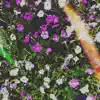Violet Flowers - EP album lyrics, reviews, download