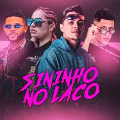 Sininho no Laço (feat. Diogo no Beat & MC Mary) - Single by Tau Problematico & Labra stylos album reviews, ratings, credits