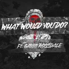 What Would You Do? - Single by Seether & Gavin Rossdale album reviews, ratings, credits