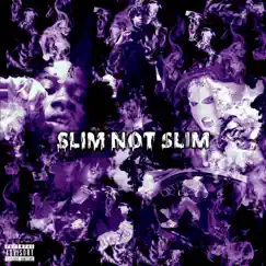 Slim Gotti, Pt. 2 Song Lyrics