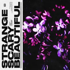 Strange Scary Beautiful - EP by Dasan album reviews, ratings, credits