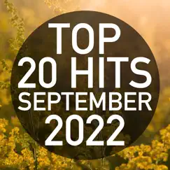 Top 20 Hits September 2022 (Instrumental) by Piano Dreamers album reviews, ratings, credits
