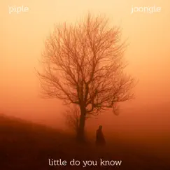 Little Do You Know - Single by Piple & Joongle album reviews, ratings, credits