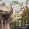 Opportunities album lyrics, reviews, download