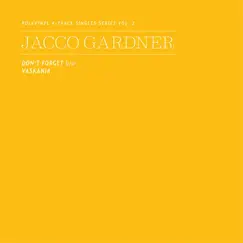 Polyvinyl 4 - Track Singles Series, Vol. 2 - Single by Jacco Gardner album reviews, ratings, credits