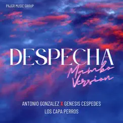 Despechá (Mambo Version) - Single by Antonio González, Génesis Céspedes & LOS CAPA PERROS album reviews, ratings, credits