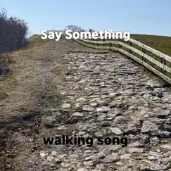 Say Something - Single by Walking song album reviews, ratings, credits