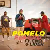 Pomelo (feat. C'No & L.D.R.) - Single album lyrics, reviews, download