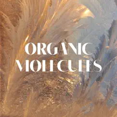 Organic Molecules by Pumpupthemind album reviews, ratings, credits