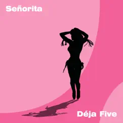 Señorita (Rob Nunjes Instrumental House Remix Extended) Song Lyrics