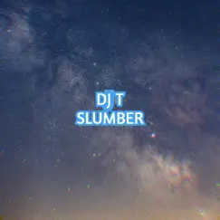 Slumber - Single by DJ T. album reviews, ratings, credits