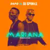 Mariana (feat. Dj Spinall) - Single album lyrics, reviews, download