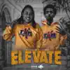 Elevate (feat. Lil Tooka) - Single album lyrics, reviews, download