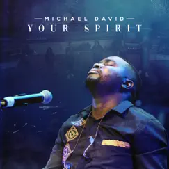 Your Spirit - Single by Michael David album reviews, ratings, credits