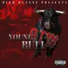 Young Bull OTW - Single album lyrics, reviews, download