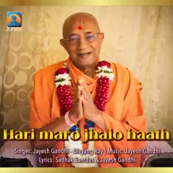 Hari Maro Jhalo Haath (feat. Jayesh Gandhi) - Single by Divyang Ray album reviews, ratings, credits