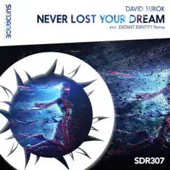 Never Lost Your Dream - Single by David Surok album reviews, ratings, credits