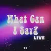 What Can I Say? (Live) - Single album lyrics, reviews, download