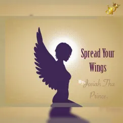 Spread Your Wings (Radio Edit) Song Lyrics