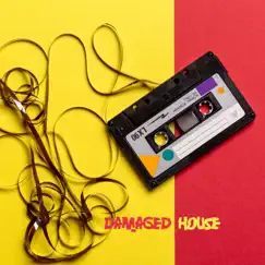 Damaged House by Various Artists album reviews, ratings, credits