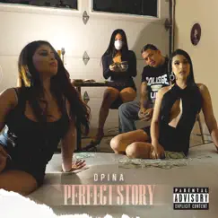 Perfect Story - Single by Opina album reviews, ratings, credits