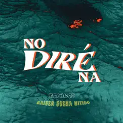 No Diré Na Song Lyrics