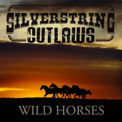 Wild Horses - Single by Silverstring Outlaws album reviews, ratings, credits