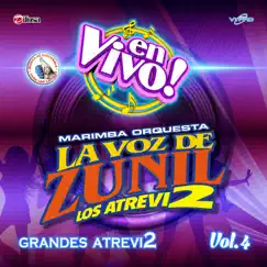 Grandes Atrevi2 Vol. 4. Música de Guatemala para los Latinos (En Vivo) by Marimba Orquesta La Voz de Zunil album reviews, ratings, credits