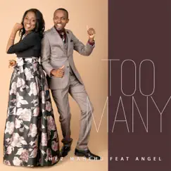 Too Many (feat. Angel) Song Lyrics