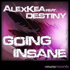 Going Insane (feat. Destiny) [DJ Somy RMX] Song Lyrics