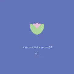 I was everything you needed Song Lyrics