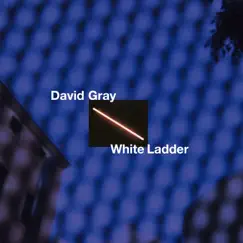 White Ladder (20th Anniversary Edition) by David Gray album reviews, ratings, credits