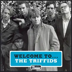 Welcome to the Triffids - EP by The Triffids album reviews, ratings, credits