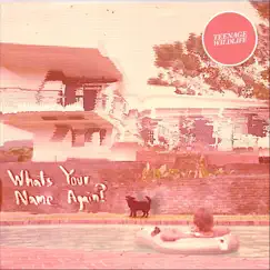 What's Your Name Again? - Single by Teenage Wildlife album reviews, ratings, credits