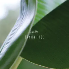 Banana Tree - Single by Lavi Frost album reviews, ratings, credits