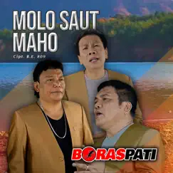 Molo Saut Ma Ho - Single by Boraspati album reviews, ratings, credits