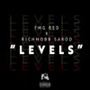 Levels (feat. Richmobb Sarod) - Single album lyrics, reviews, download