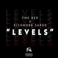 Levels (feat. Richmobb Sarod) - Single by FMG RED album reviews, ratings, credits