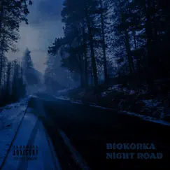 NIGHT ROAD - Single by BIOKORKA album reviews, ratings, credits