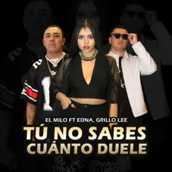Tú no sabes cuánto duele (feat. Grillo Lee & Edna) - Single by El Milo album reviews, ratings, credits