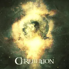 Now or Never - Single by Cerebellion album reviews, ratings, credits